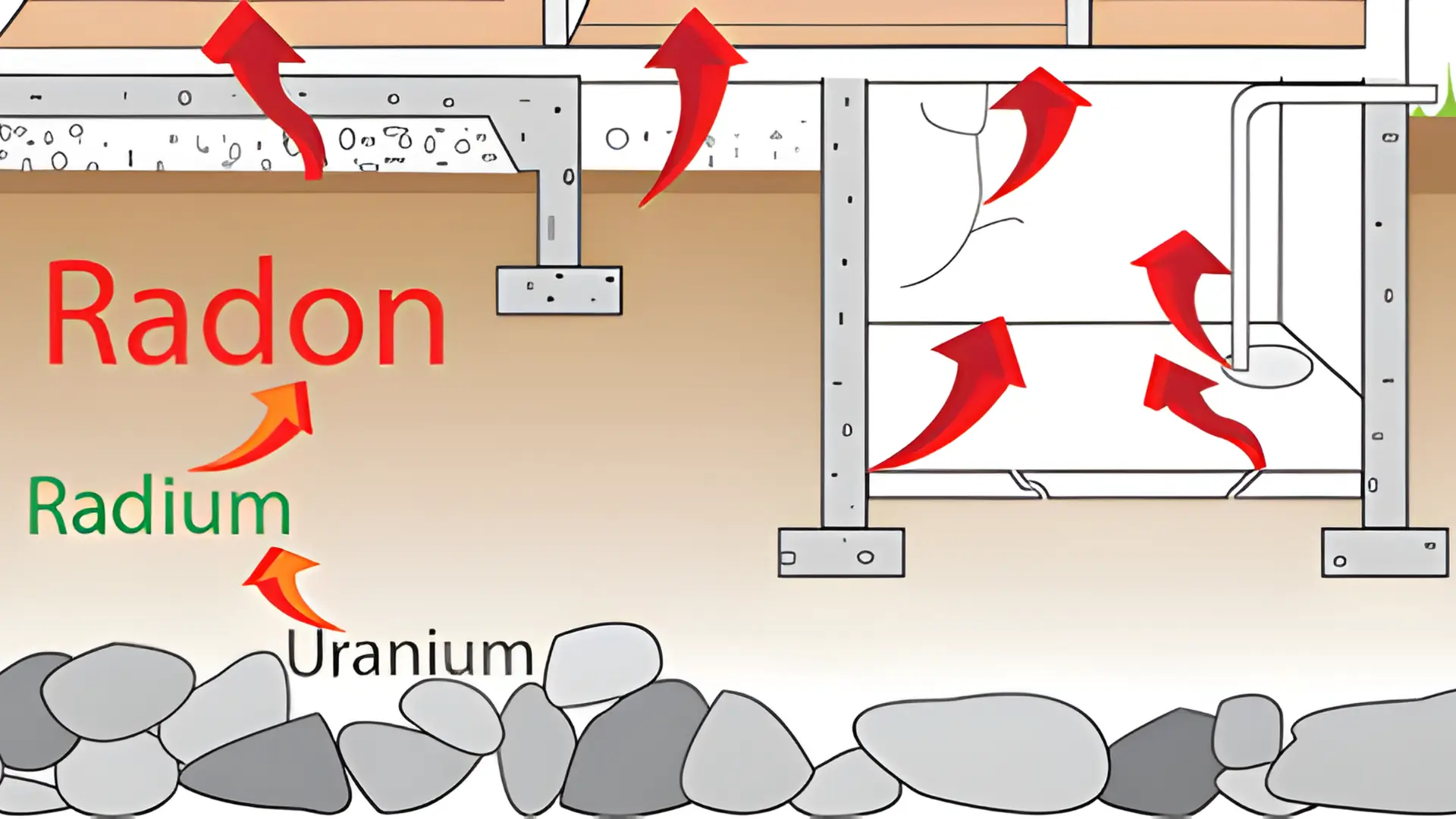 Radi trong nước - Nguy cơ phóng xạ tiềm ẩn và giải pháp kiểm soát tại Việt Nam 8 Radi tích tụ trong mô xương (bắt chước canxi), làm tăng nguy cơ ung thư xương