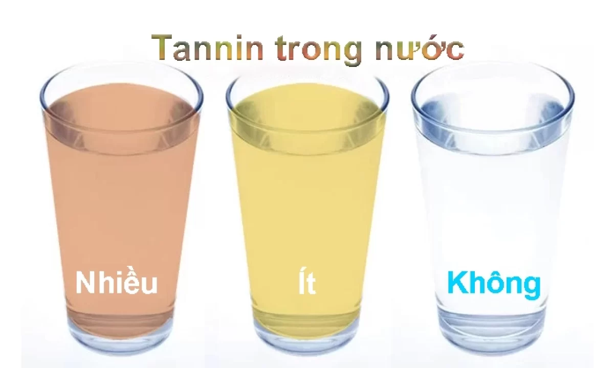 Tanin trong nước khiến nước đổi màu